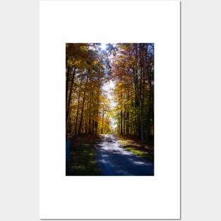 Sunny Fall Road Posters and Art